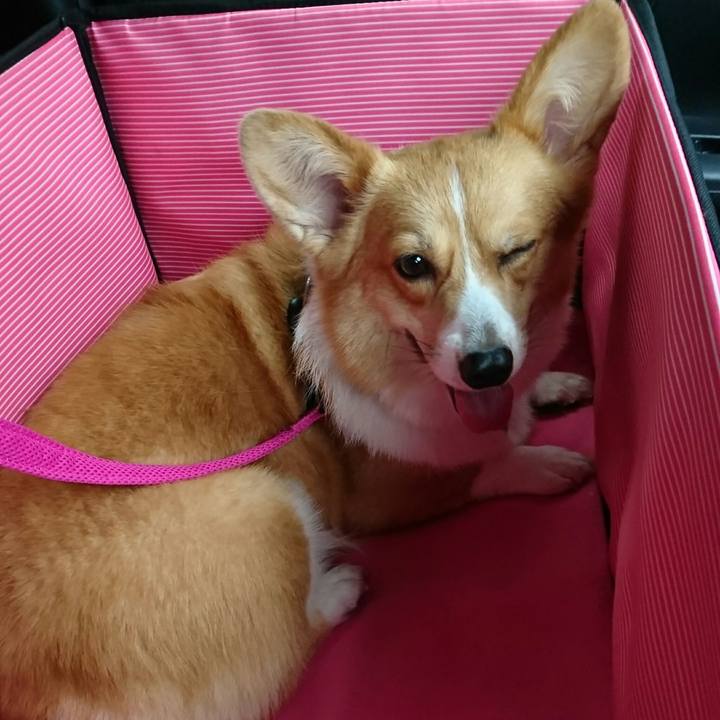 185379e7 e947 4f32 b5a9 1084a821db63