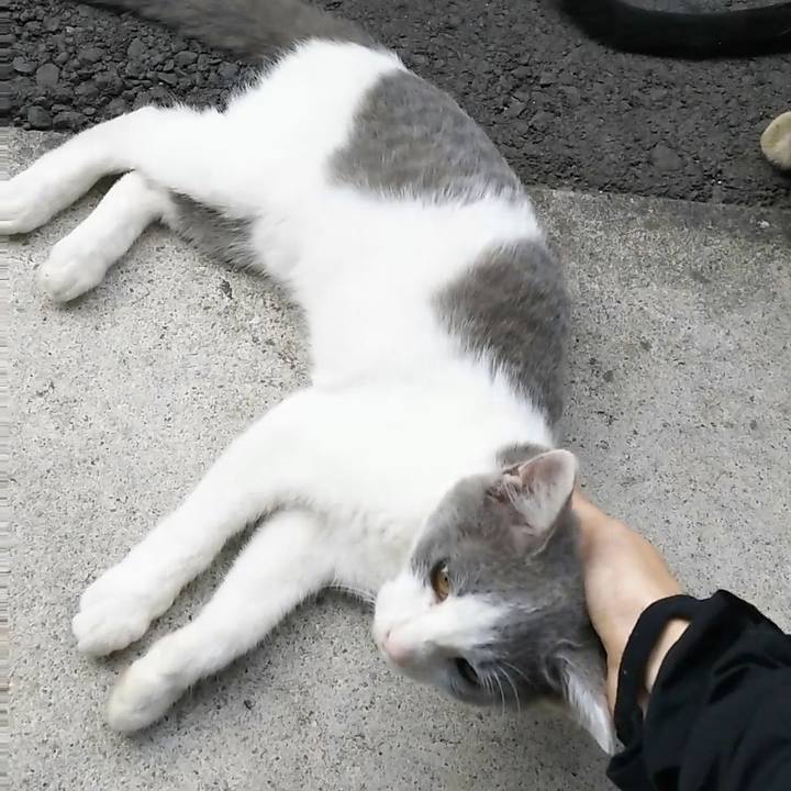 18538d10 1257 4f5b 8d70 0e1e41a05df8