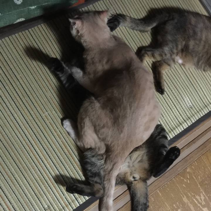 1853f5cc b48c 4c0e 8762 3fcaf39d9098