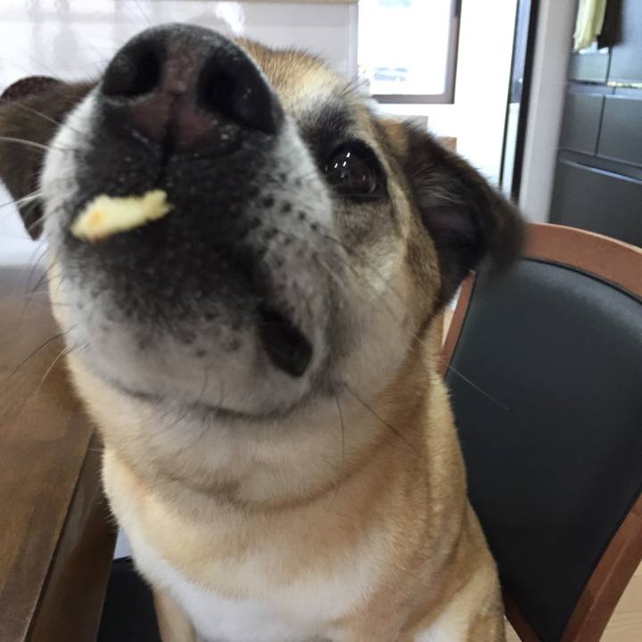 1854a3a2 3229 4937 826e b0ffc74a28f4