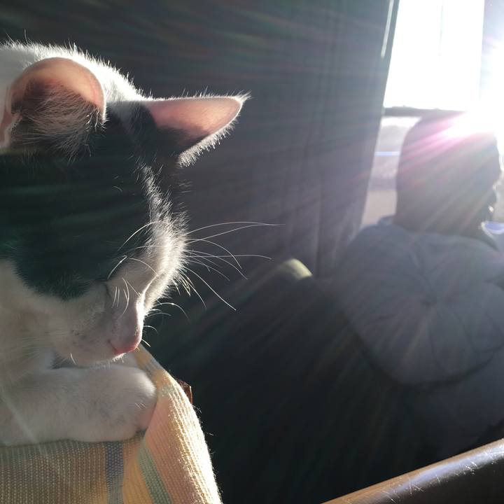 1854c8c1 b348 4604 b648 23de2d5560f5