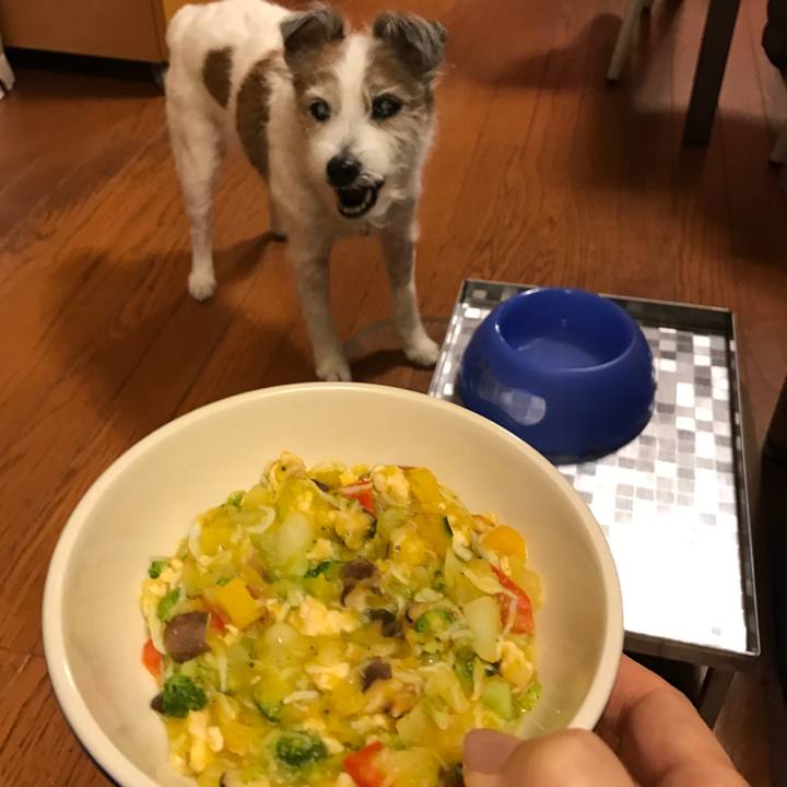 1855bad8 7ec5 4367 b814 23b6e94d74f6