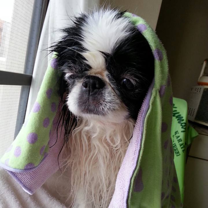 1855ebc0 5886 4e66 88b9 546696116575