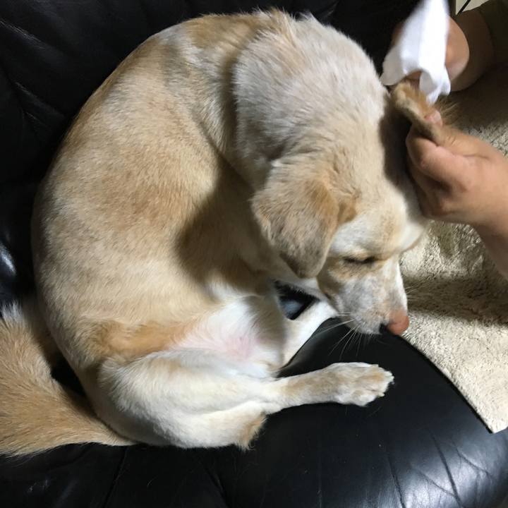 1856f2e6 a350 47bc 9f81 182e1af8edec