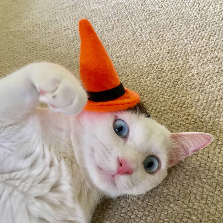 1856f7d4 26a1 4146 ba14 d56a59e72879