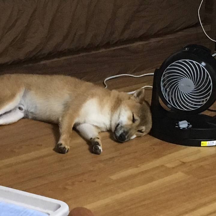 18577ece 6733 4080 89ac d83affeaf45a