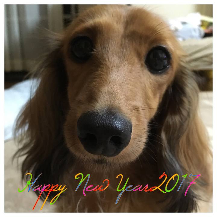 18579b59 278f 4280 b0bb b96d62ee6ea9