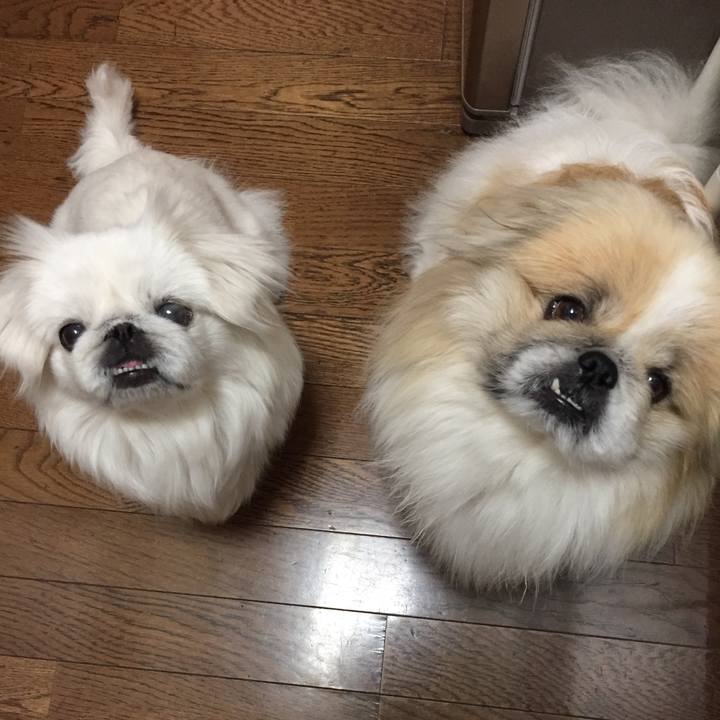 18586686 0c6c 4eaa 9495 090c07278a24