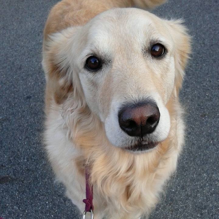 18588bc0 0c52 4663 810f 0bc4a8fbe081