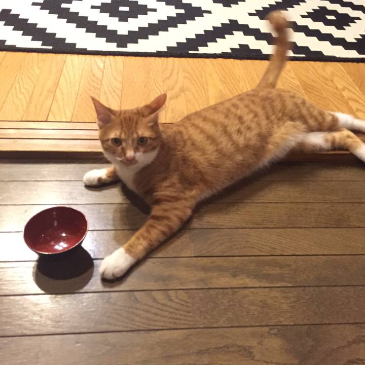 185920ac e809 43ab 9efe b72549646573