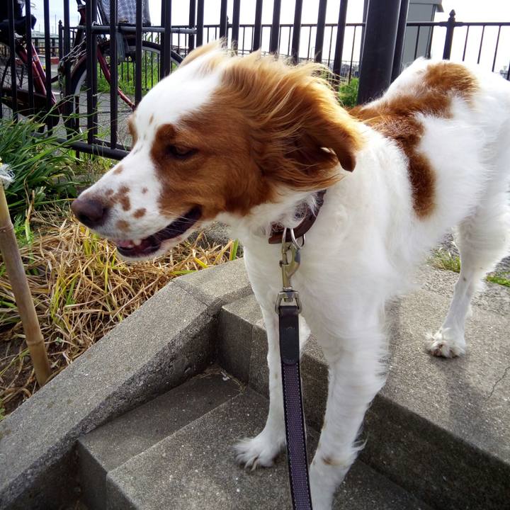 1859e543 b89c 4fad 9d12 f6e7ea5287e1