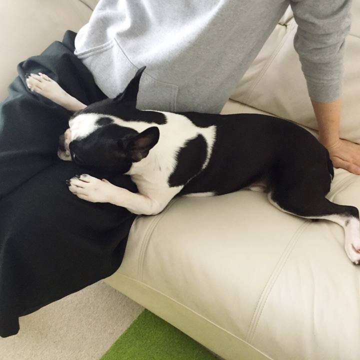 185a0d67 fc2f 4f05 ada7 554fb5fbc17d