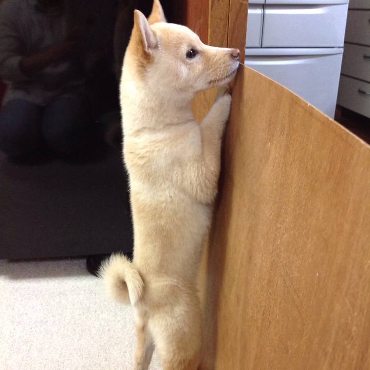 185a87a1 c0e5 4d73 ace2 719544b6da95