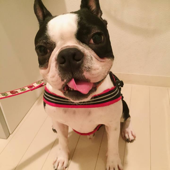 185aaaca 948b 4383 b606 0fca7277ca63