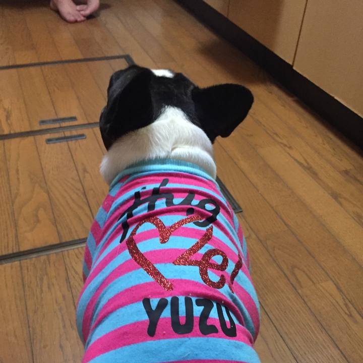 185af091 ac60 40cf 9bf9 dc3d64ec9584