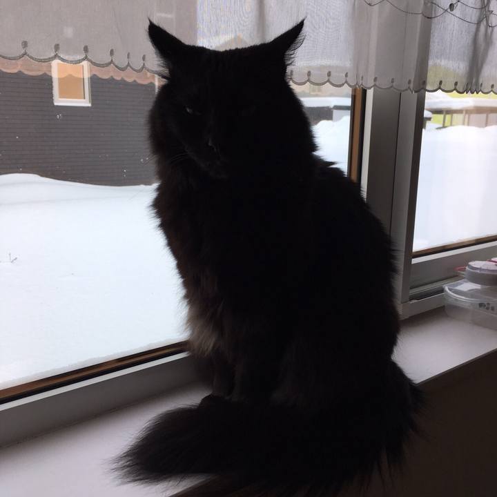 185b3c93 5312 4920 8c6c 733132ba918a