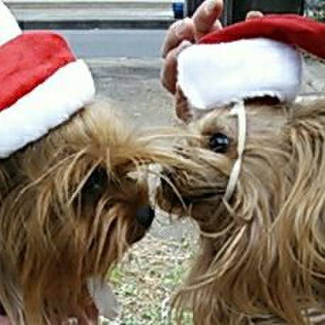 185b914c d987 4eed b021 db5143f65075