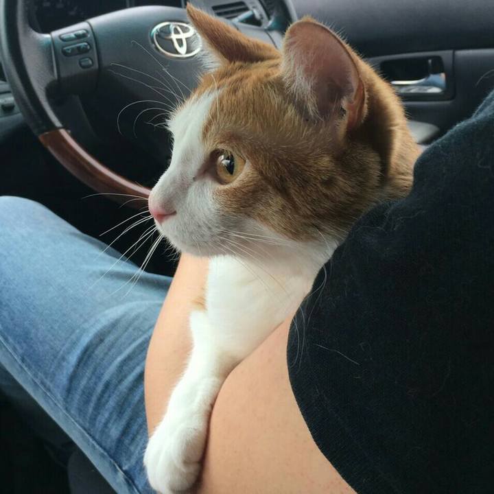 185bff1a e33f 4c4d 8074 aa5697e982c4