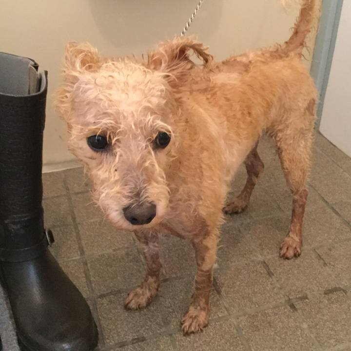 185c1320 0bc9 40a1 9b84 32a2b52ba3a7