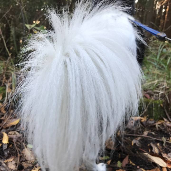 185c3253 d856 489c 9708 be68e9d44d29