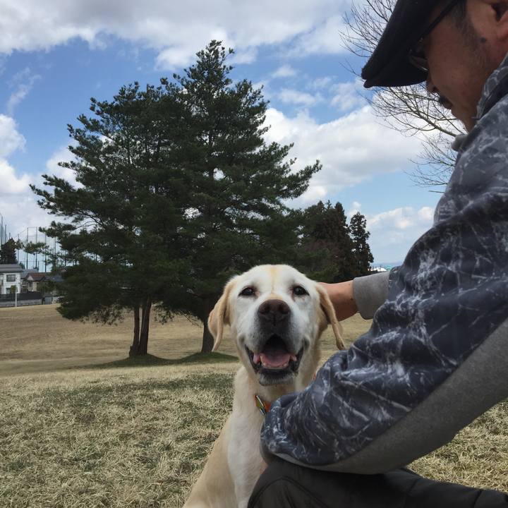 185c45f7 0a3e 47a5 b7b3 703ae36c685b