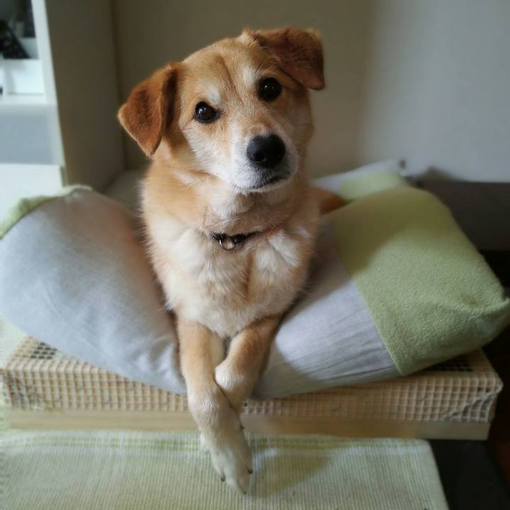 185c9e45 c5e6 46e6 a951 79a944ed57e7