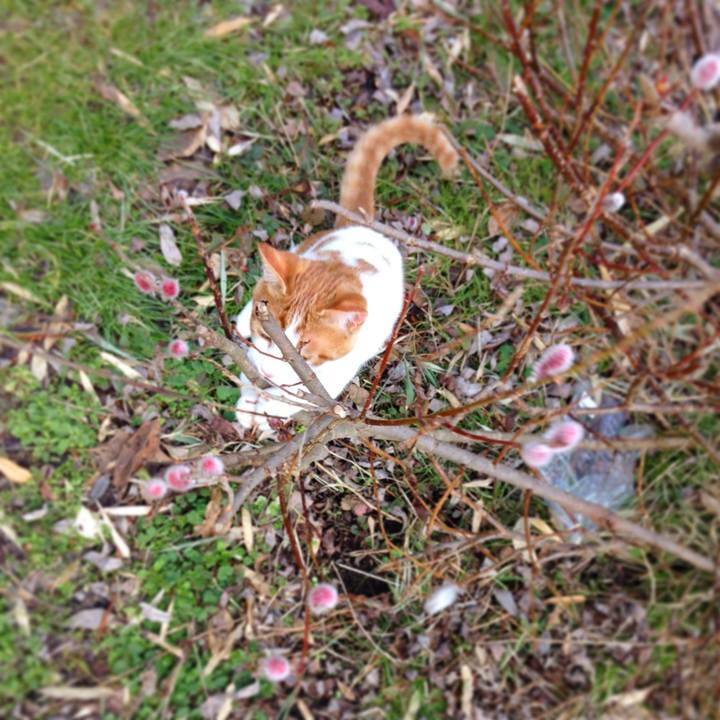 185cf4c9 a697 43a4 92bb 6e713827fd2f