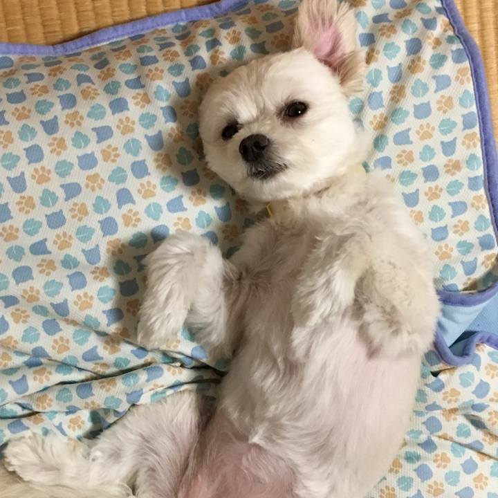 185d2d25 4718 4c40 8589 102fbf055214