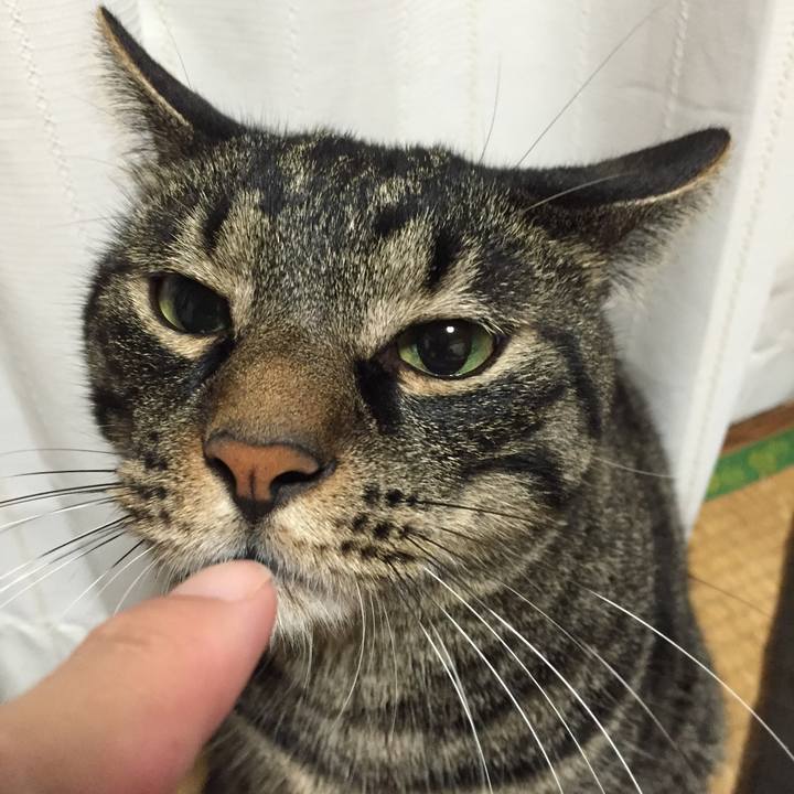 185d3927 e154 44a3 b4e6 399145f99634