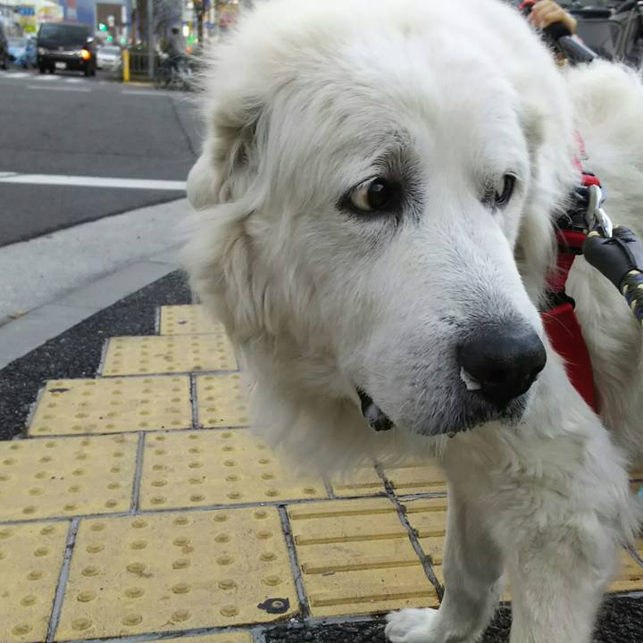 185d6038 34ee 47d2 ba49 cbc092e4a750