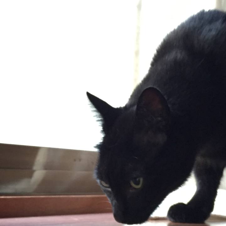 185d9de5 e93c 4764 b809 b0453f98bfd6