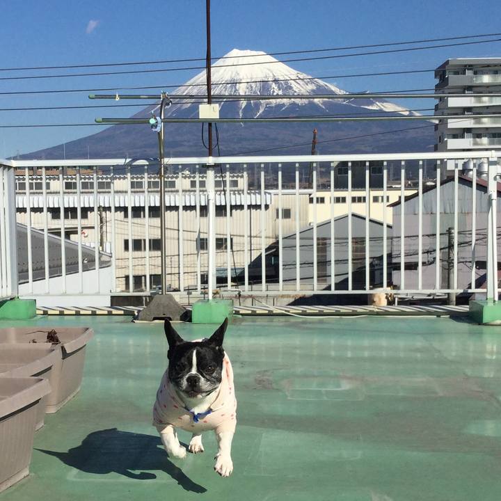 185de5de 0ec6 4d00 a12c 76e3da66e4d0