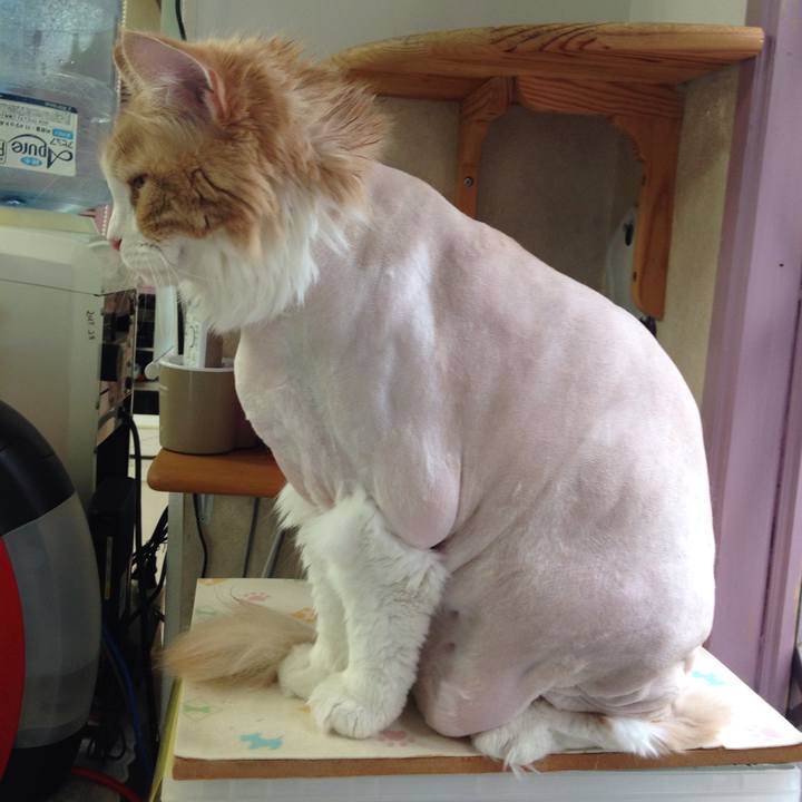 185e57d7 a457 4b4f b3e0 3a1acee946e2