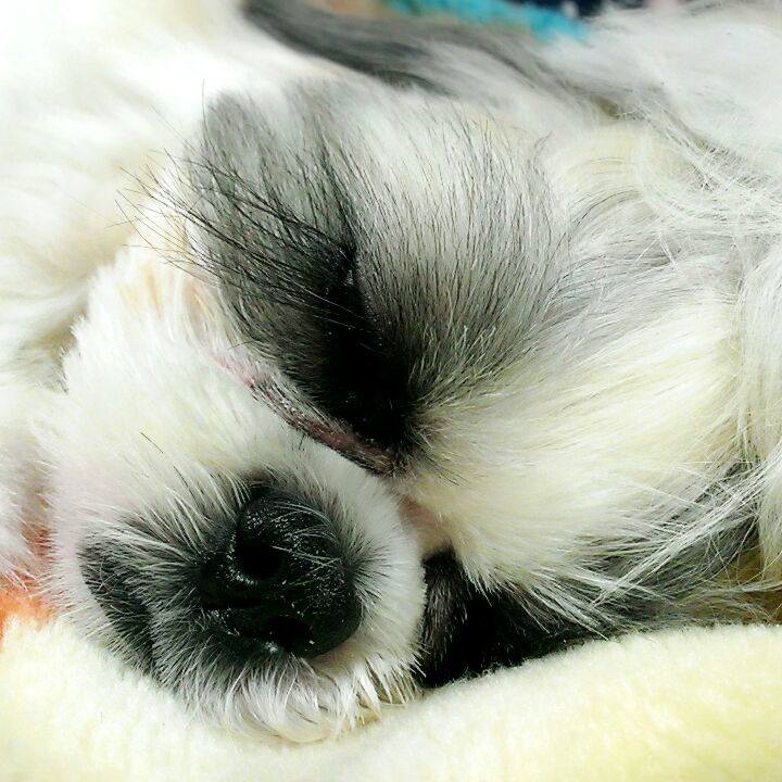 185ee71f 168c 4efb bc2b 2c3b3a6e9270