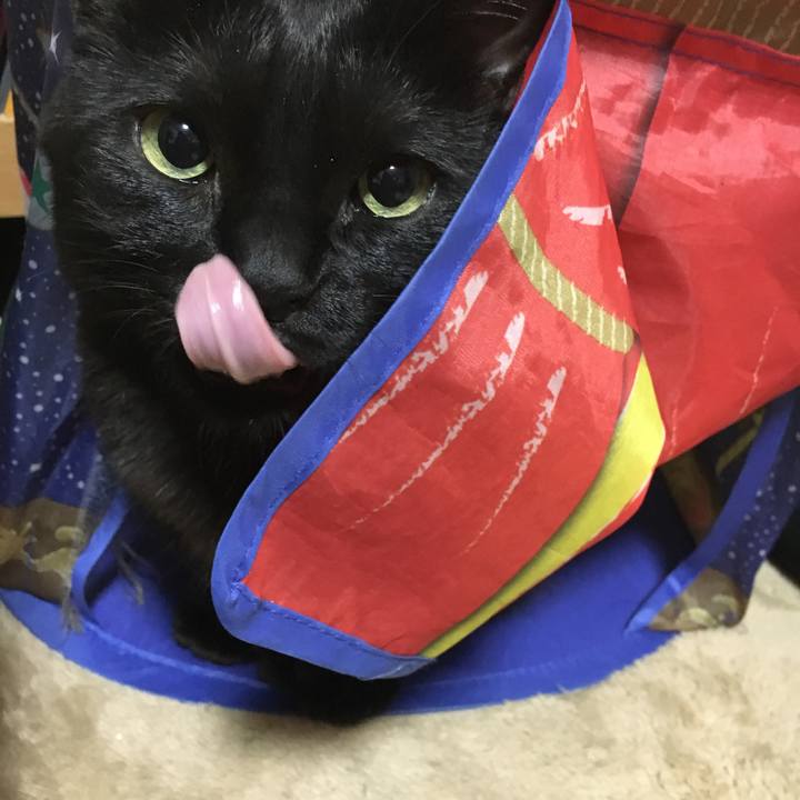 185f8c0b a3a0 4bb2 9190 4f58af0583c6