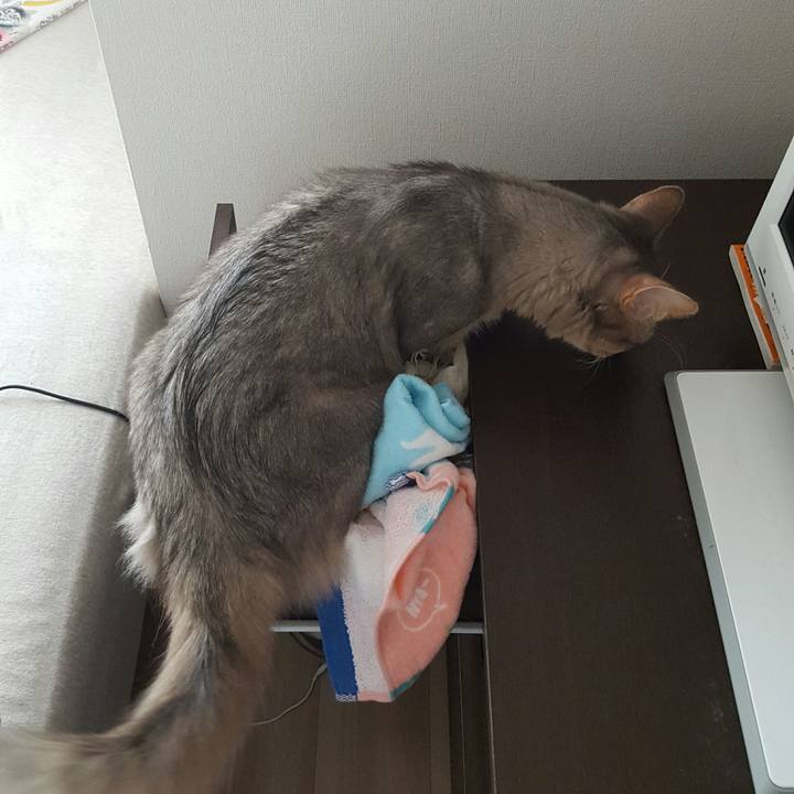 185fc3d7 ceb2 4109 a65a 938b702d9277