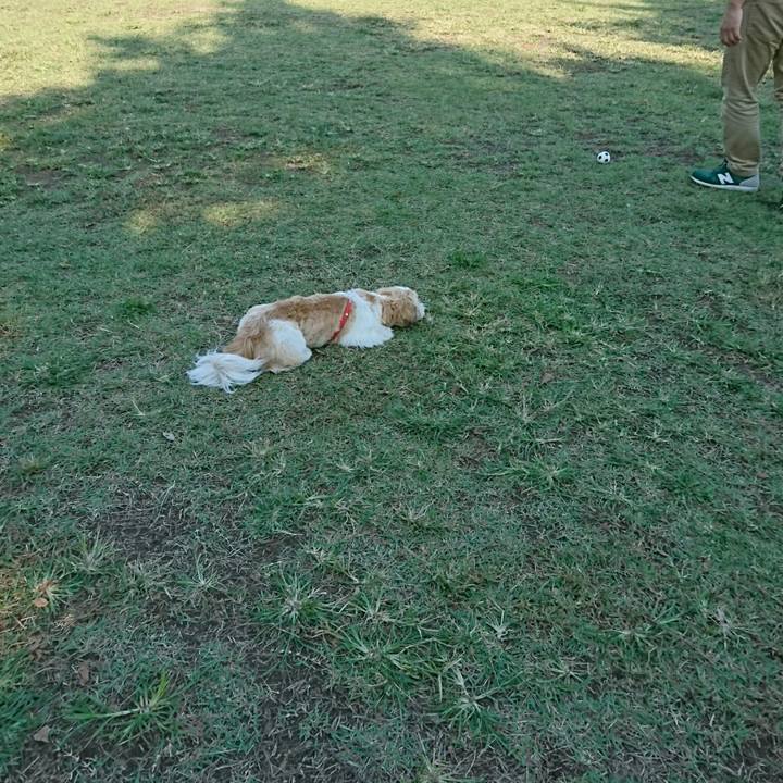 1860672a f445 4c48 98bb 0a33aa93613c