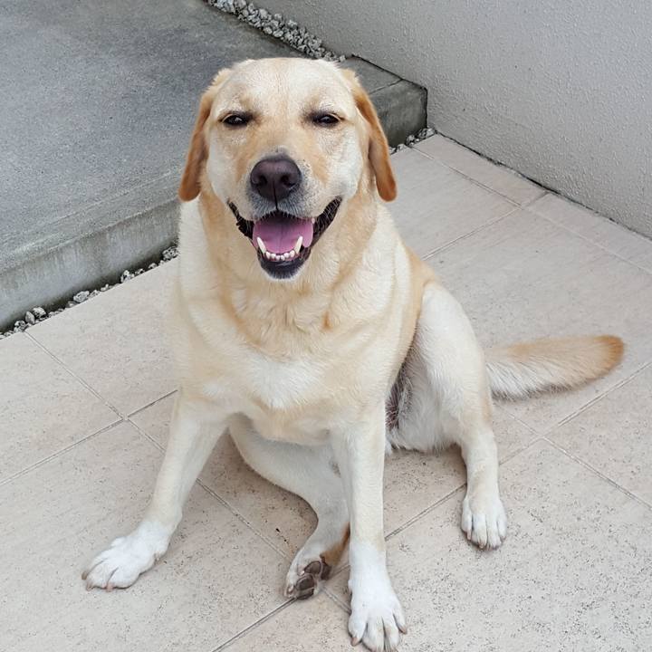 186074b6 f725 44d6 9761 0783afd8278e