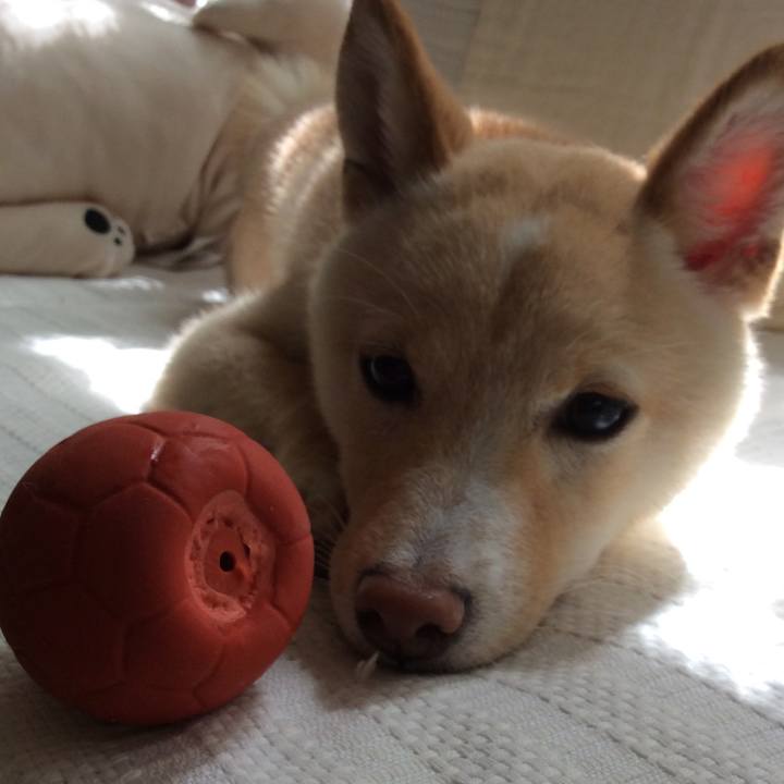 186098c6 d762 43a6 b82b aec99241643f