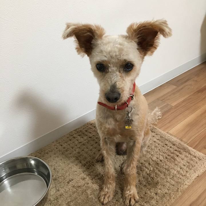 1860a731 b36d 43fa a01a 56db179fe62b