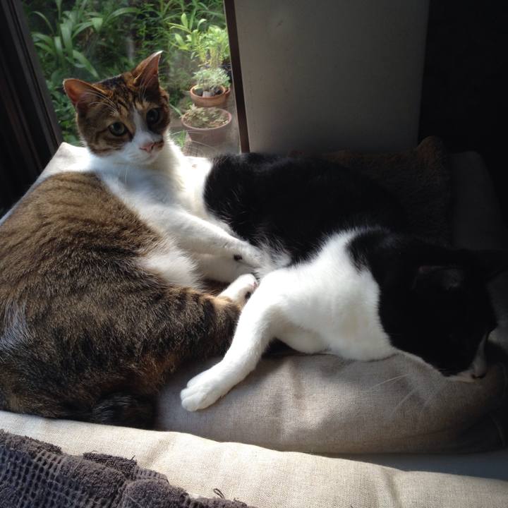 1860d7e7 8564 48eb a579 7fc255a35983