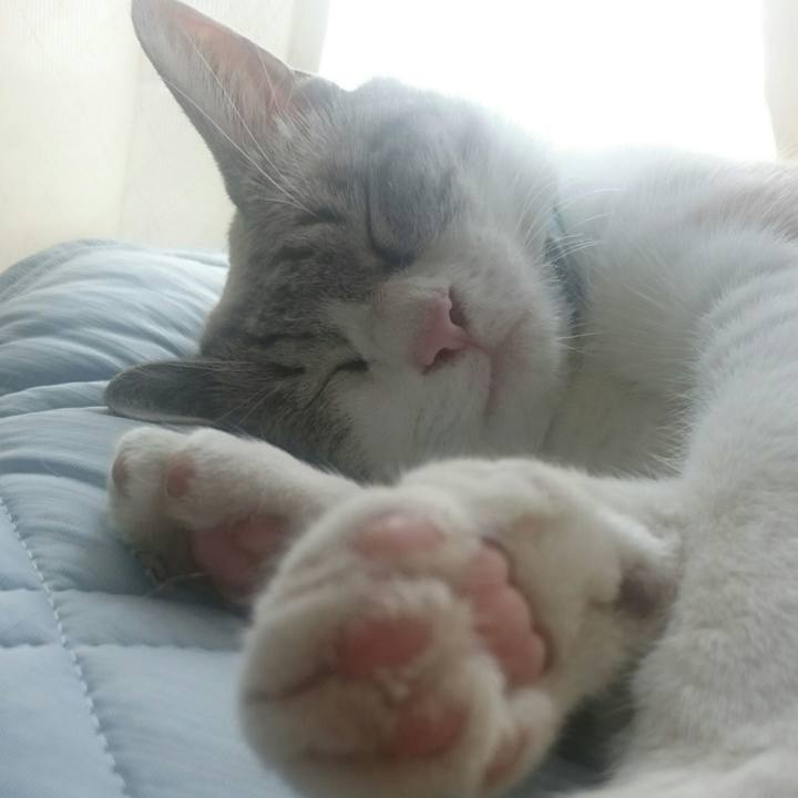 1860f1b4 2f98 4b4c 935a 6a1c1cf677bd