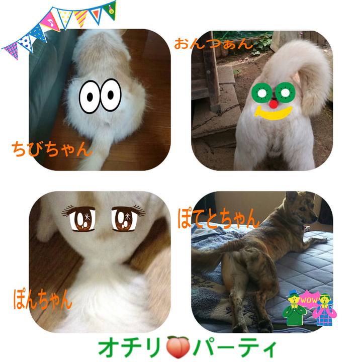 1860fb50 f4eb 464e 9ac8 d2ef73514f1a