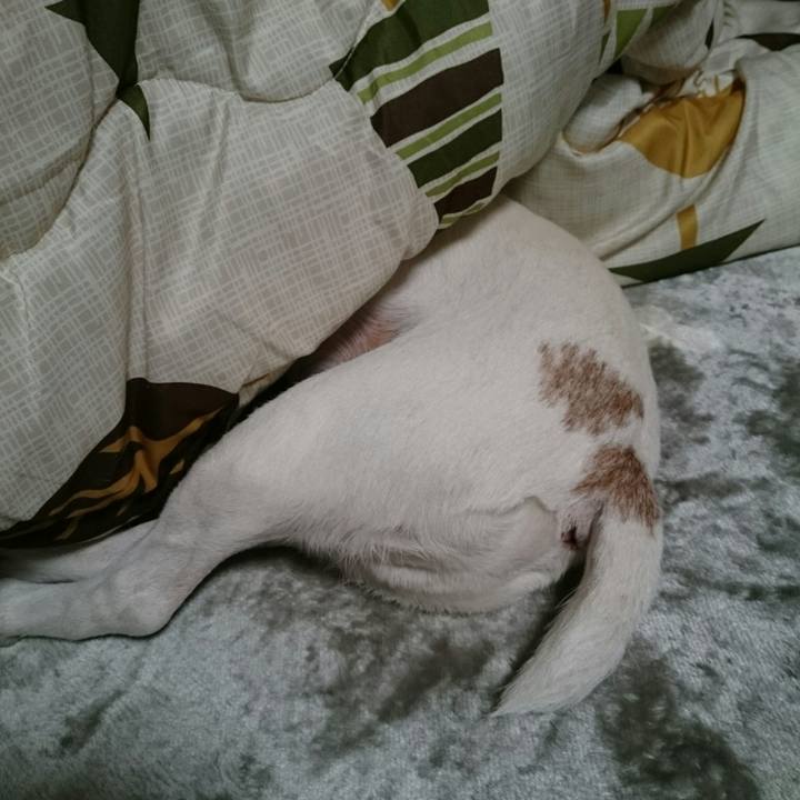 186126b3 778f 4fc4 9193 362ed30eb6a6