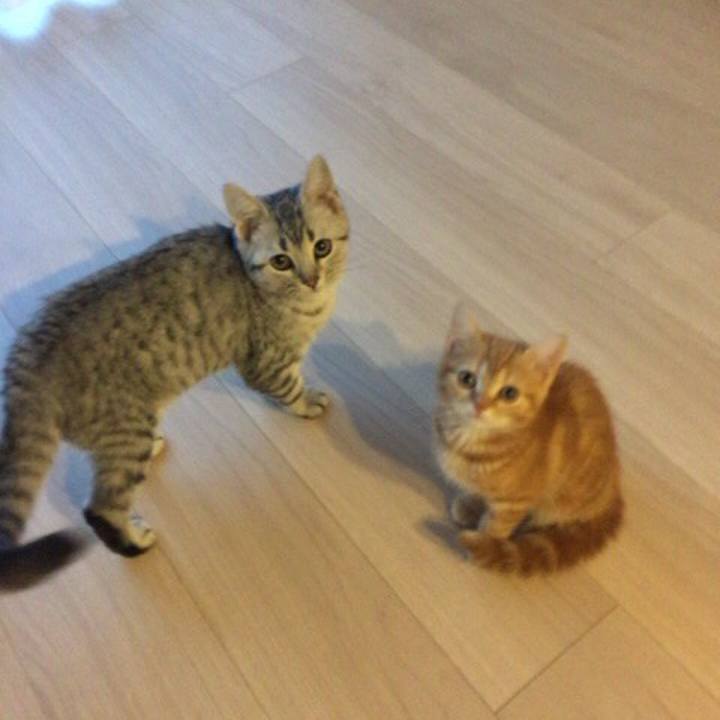 18620c66 bc0b 4ca2 bb80 f7dd5da6d008