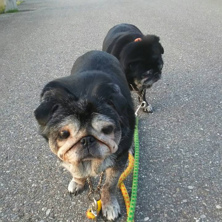 186217dc 1b9d 4762 98ce 1ba074821ada