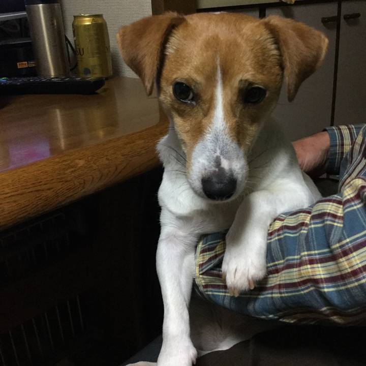 1862df6e 05b3 4276 87eb 4144b1ffea90