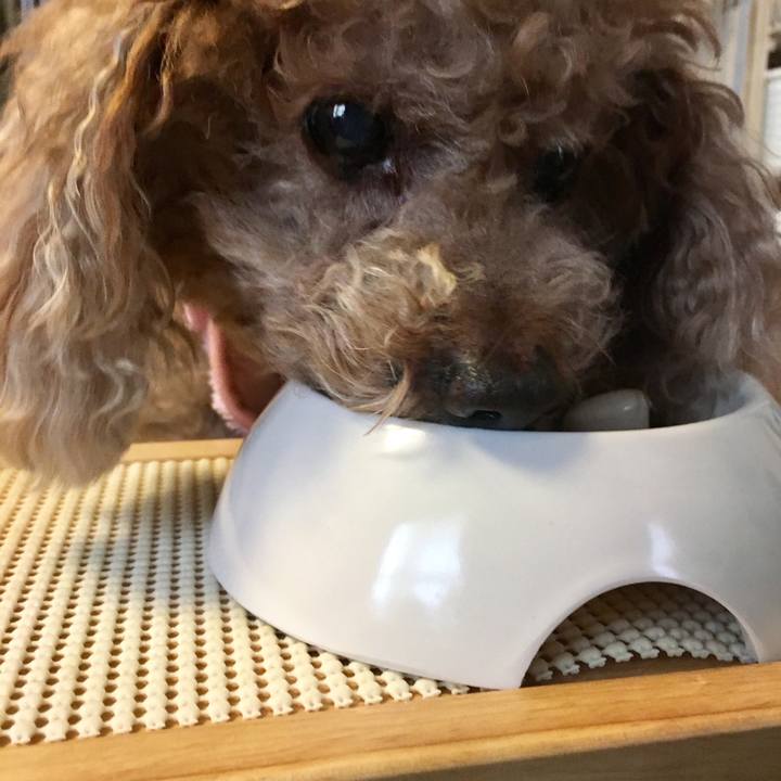 1862edb0 5613 4ced 8a17 ab7dee9d7af6