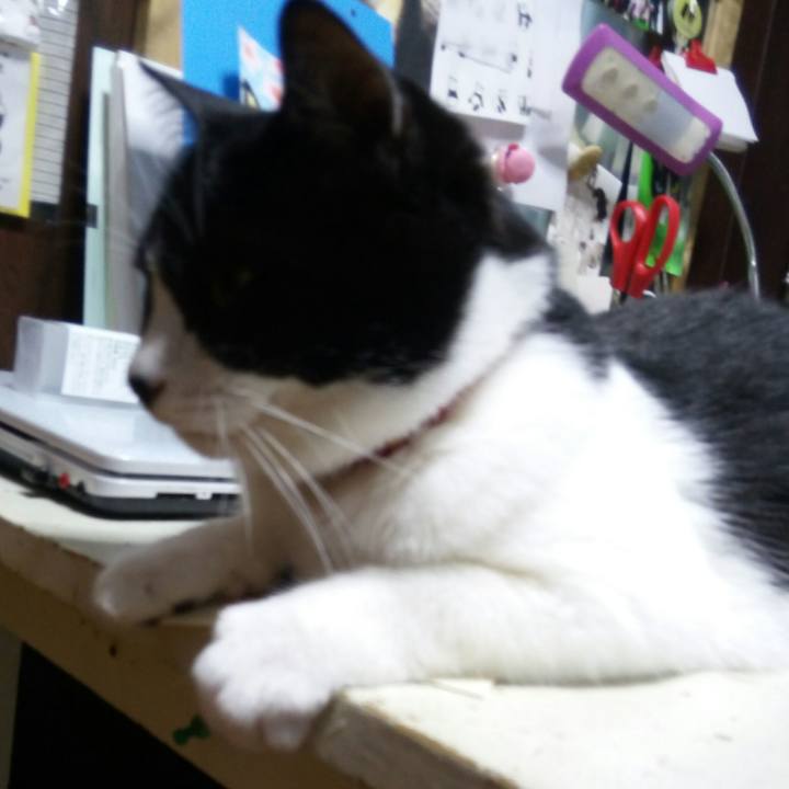 18631aa2 a1de 4c07 b66c a906358188b3