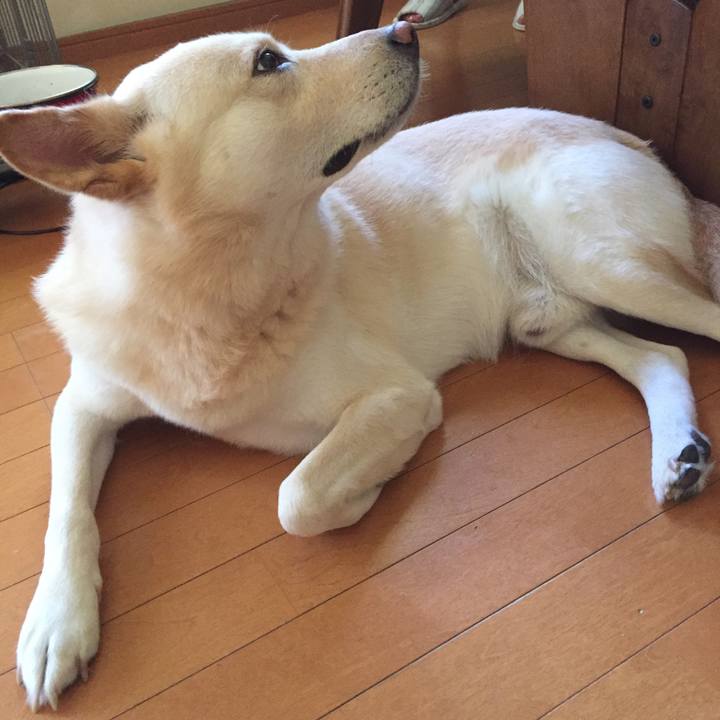 18632f7f 5898 4cb7 b0c6 7594a6386e7d